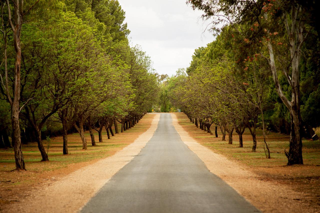 Renmark Country Club Buitenkant foto
