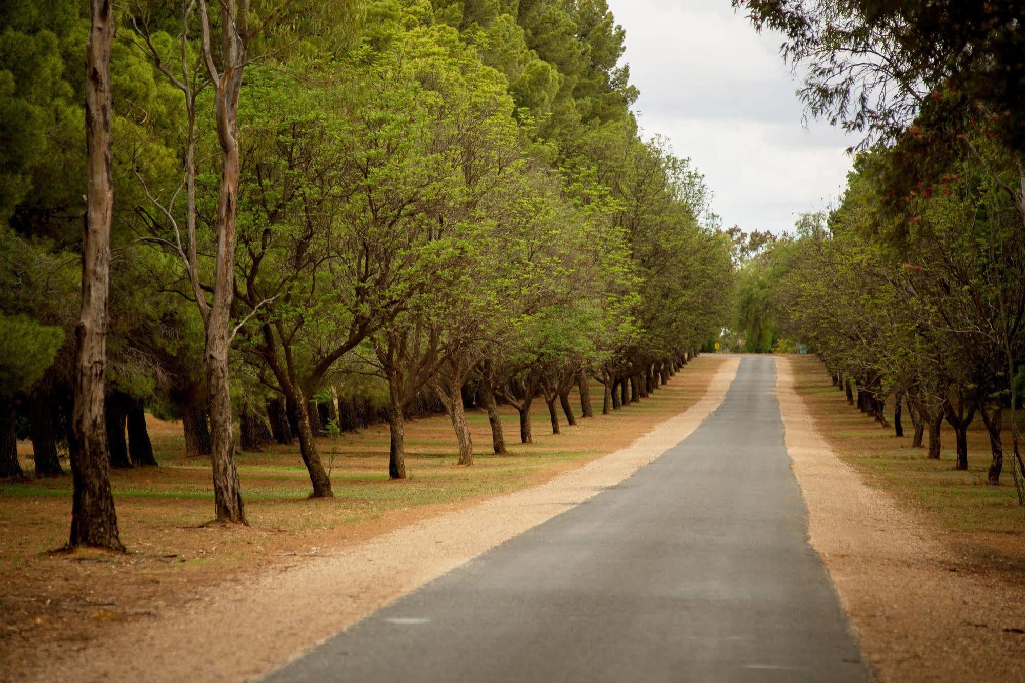 Renmark Country Club Buitenkant foto