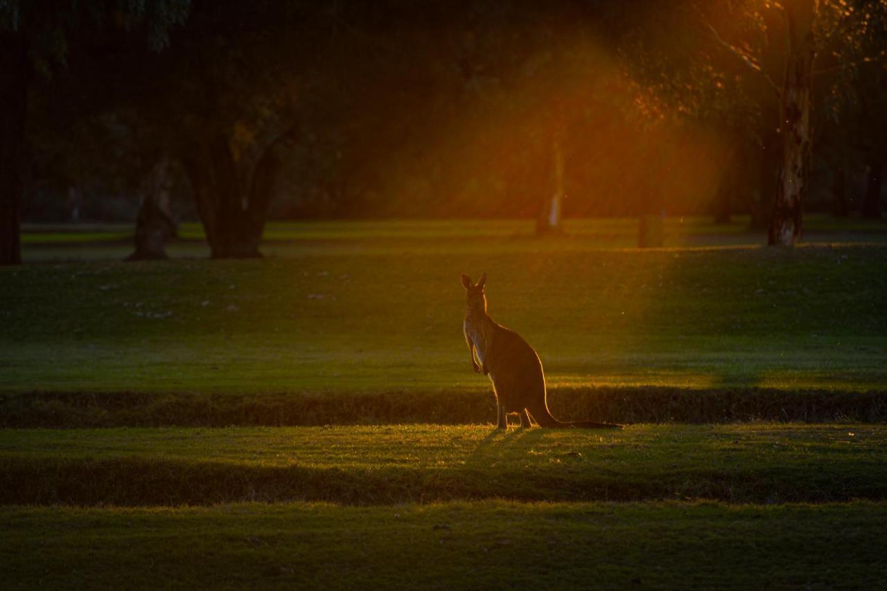 Renmark Country Club Buitenkant foto