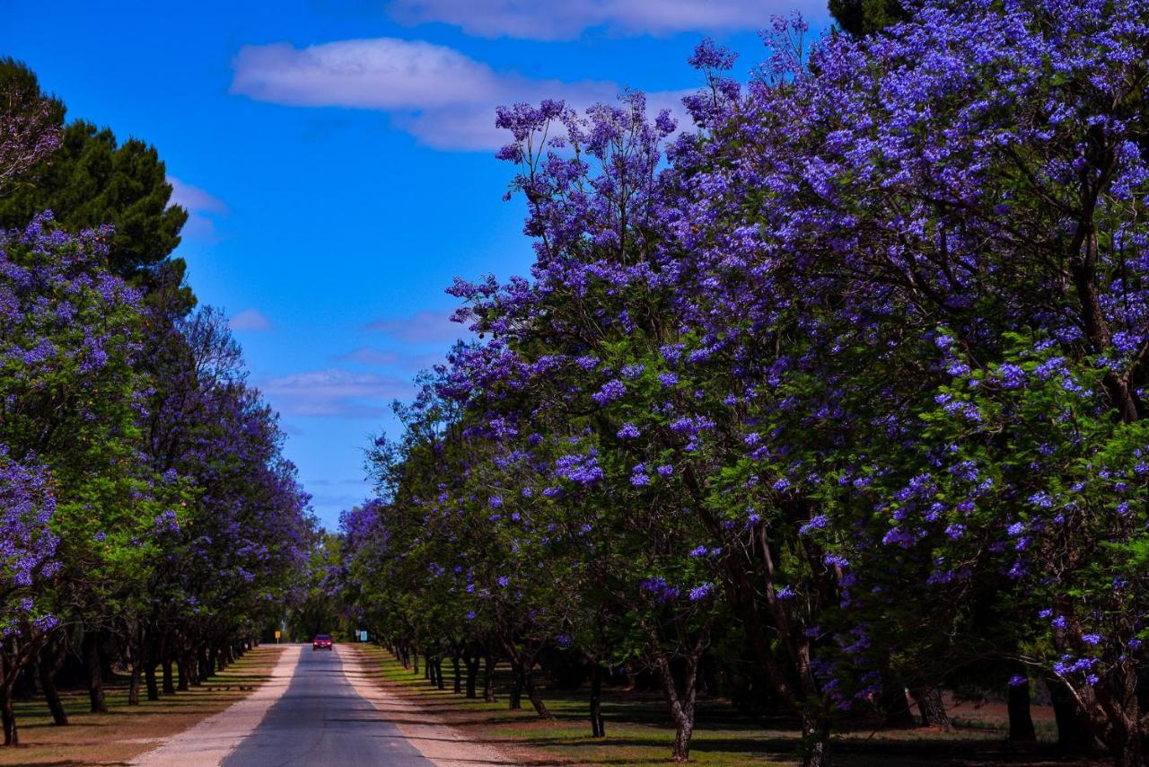 Renmark Country Club Buitenkant foto